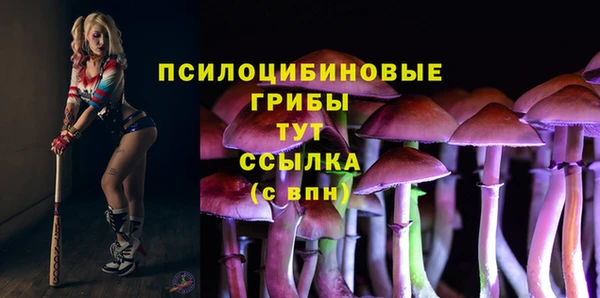бошки Абдулино