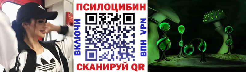 Галлюциногенные грибы Psilocybine cubensis  Камышлов 